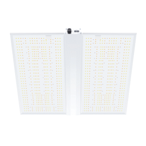 Nanolux RG480 LED